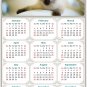2024 Magnetic Calendar - Calendar Magnets - Today is My Lucky Day - Cat Themed 013 (5.25 x 8)