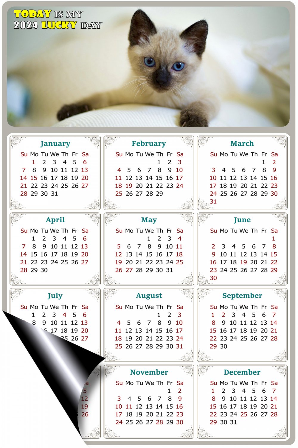 2024 Magnetic Calendar - Calendar Magnets - Today is My Lucky Day - Cat