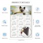 2024 Magnetic Calendar - Calendar Magnets - Today is My Lucky Day - Cat Themed 013 (5.25 x 8)