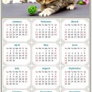 2024 Magnetic Calendar - Calendar Magnets - Today is My Lucky Day - Cat Themed 017 (5.25 x 8)