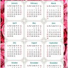 2024 Magnetic Calendar - Calendar Magnets - Today is my Lucky Day - Themed 028 (5.25 x 8)