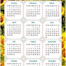 2024 Magnetic Calendar - Calendar Magnets - Today is my Lucky Day - Themed 030 (5.25 x 8)