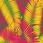 Magnetic Locker Wallpaper (Full sheet Magnetic) - (Tropical leaves) - Pack of 3 Sheets (vb062)