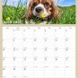 2024 Wall Calendar Spiral-bound Twin - 12 Months Planner 8.5" x 11" (Dogs)