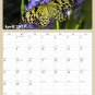2024 Wall Calendar Spiral-bound Twin - 12 Months Planner 8.5" x 11" (Butterfly)