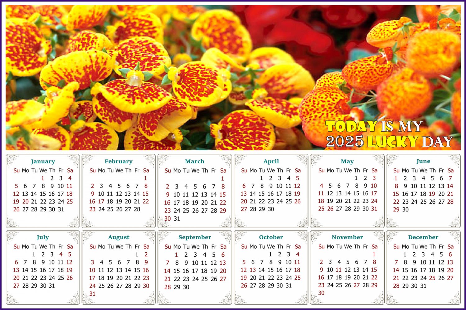 2025 Peel & Stick Calendar - Today is my Lucky Day - Removable, Repositionable - 013 (9"x 6")