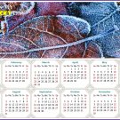 2025 Peel & Stick Calendar - Today is my Lucky Day - Removable, Repositionable - 036 (9"x 6")