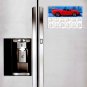 2025 Peel & Stick Calendar - Today is my Lucky Day - Removable, Repositionable - 048 (9"x 6")