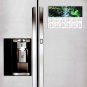 2025 Peel & Stick Calendar - Today is my Lucky Day - Removable - Daintree National Park 9"x 6"