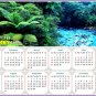 2025 Peel & Stick Calendar - Today is my Lucky Day - Removable - Waipoua Kauri Reserve (9"x 6")