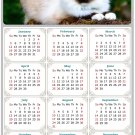 2025 Peel & Stick Calendar - Today is my Lucky Day Removable - Cat 02 (9"x 6")