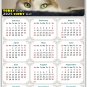 2025 Peel & Stick Calendar - Today is my Lucky Day Removable - Cat 012 (9"x 6")