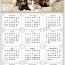 2025 Peel & Stick Calendar - Today is my Lucky Day Removable - Cat 021 (9"x 6") 2025 Peel & Stick Calendar - Today is my Lucky Day Removable - Cat 021 (9"x 6")