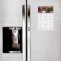 2025 Peel & Stick Calendar - Today is my Lucky Day Removable - Cat 022 (9"x 6")