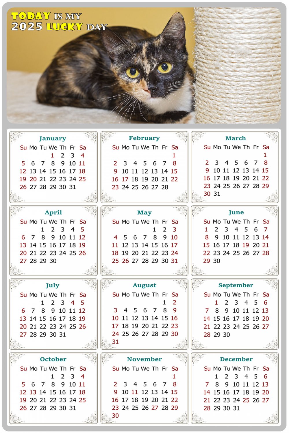 2025 Peel & Stick Calendar Today is my Lucky Day Removable Cat 024