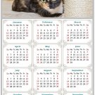 2026 Peel & Stick Calendar - Today is my Lucky Day Removable - Cat 024 (12"x 8")