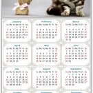 2025 Peel & Stick Calendar - Today is my Lucky Day Removable - Cat 025 (9"x 6") 2025 Peel & Stick Calendar - Today is my Lucky Day Removable - Cat 025 (9"x 6")