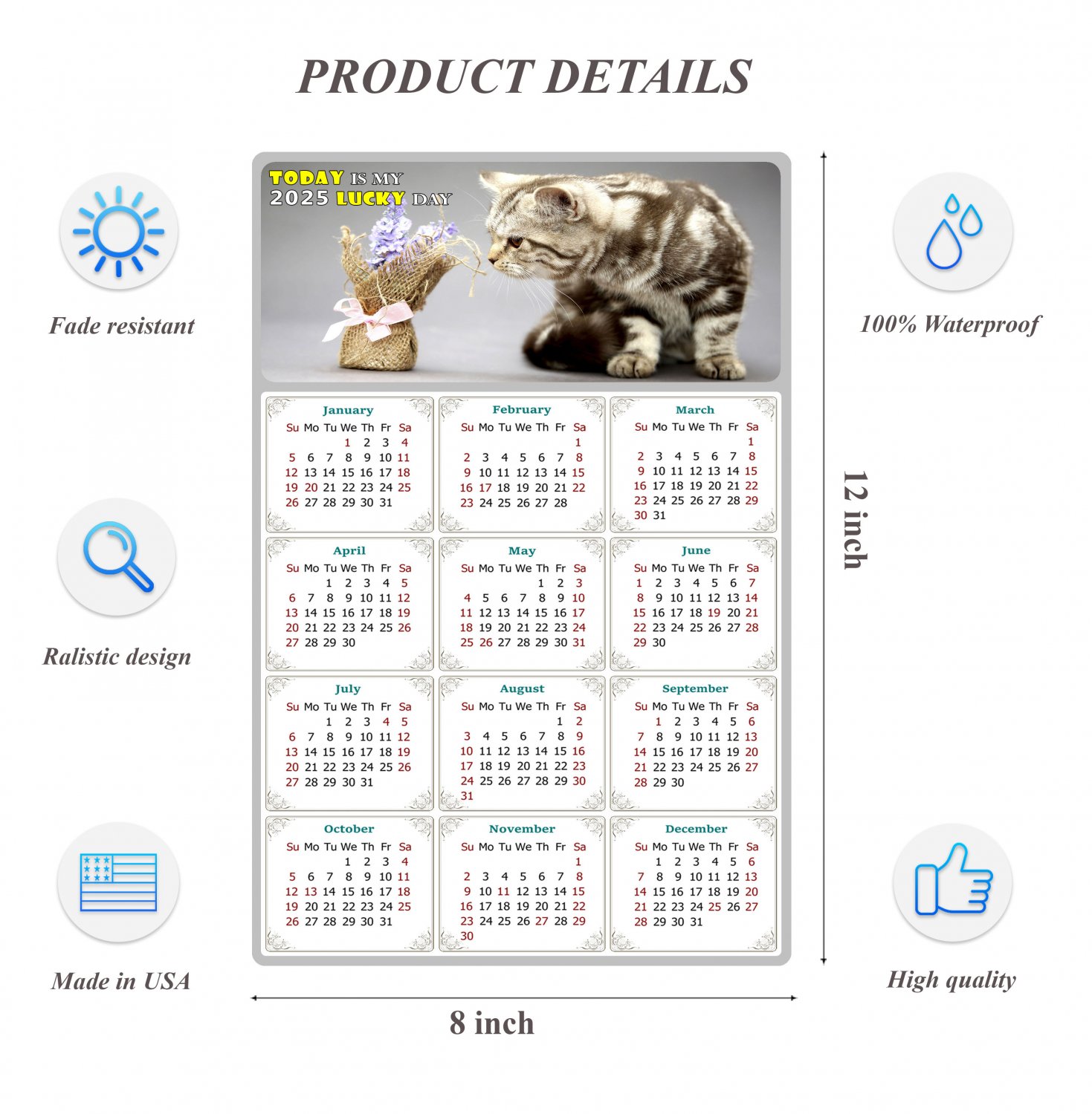 2025 Peel & Stick Calendar Today is my Lucky Day Removable Cat 025