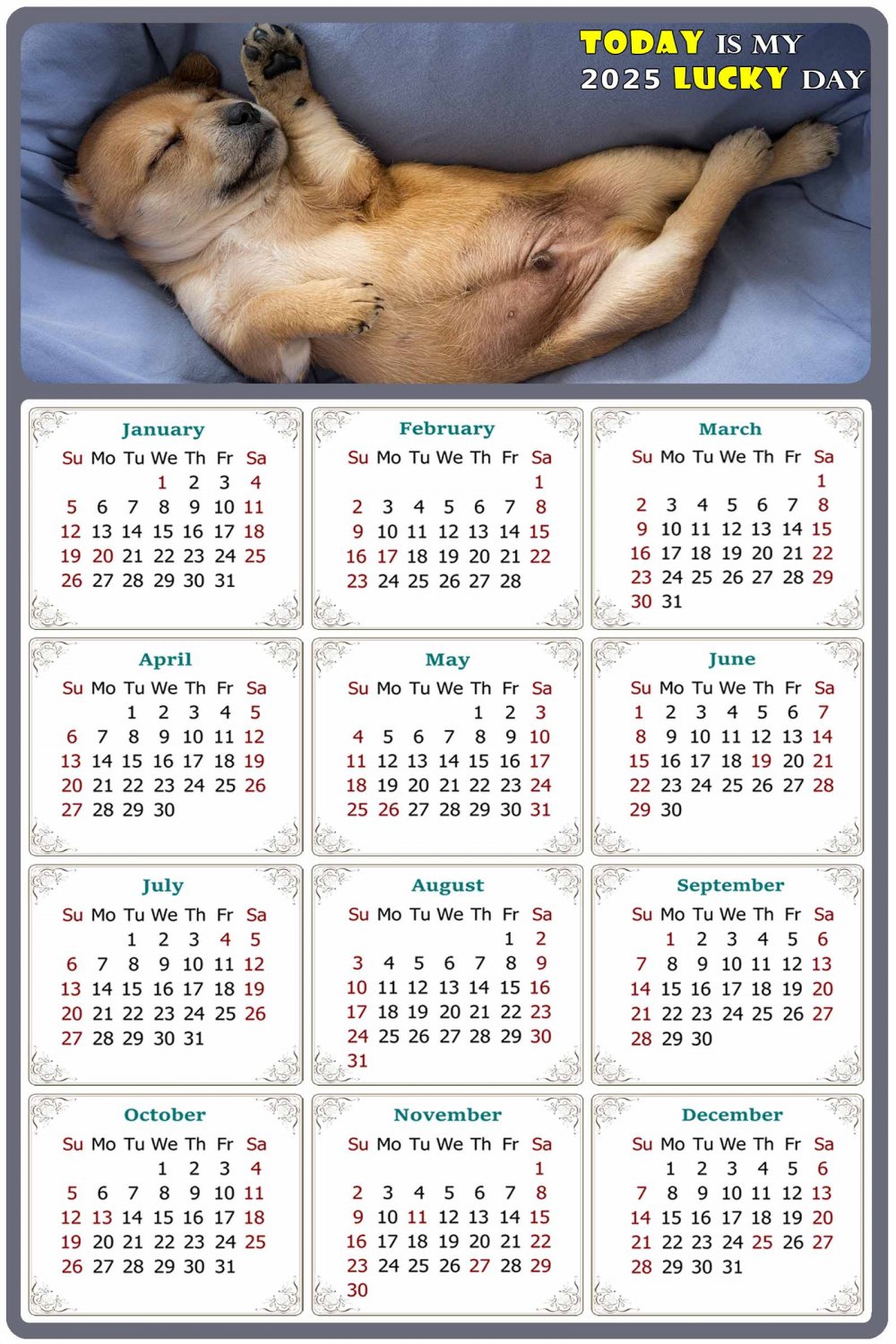 2025 Peel & Stick Calendar Today is my Lucky Day Removable Dogs 013