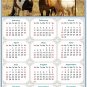 2025 Peel & Stick Calendar - Today is my Lucky Day Removable - Horses 07 (9"x 6")