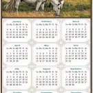 2025 Peel & Stick Calendar - Today is my Lucky Day Removable - Horses 013 (9"x 6")