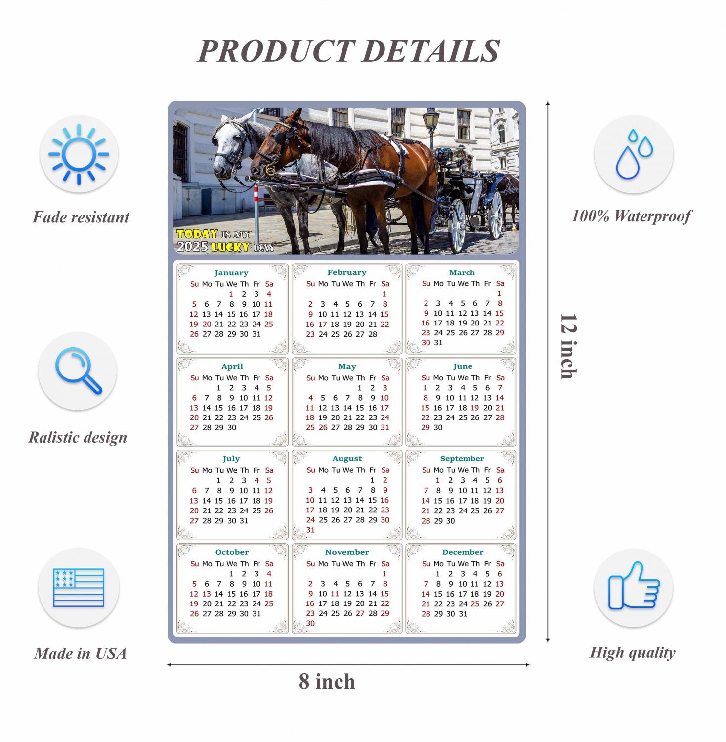 2025 Peel & Stick Calendar Today is my Lucky Day Removable Horses