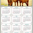 2025 Peel & Stick Calendar - Today is my Lucky Day Removable - Horses 014 (9"x 6")