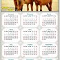 2025 Peel & Stick Calendar - Today is my Lucky Day Removable - Horses 014 (9"x 6")