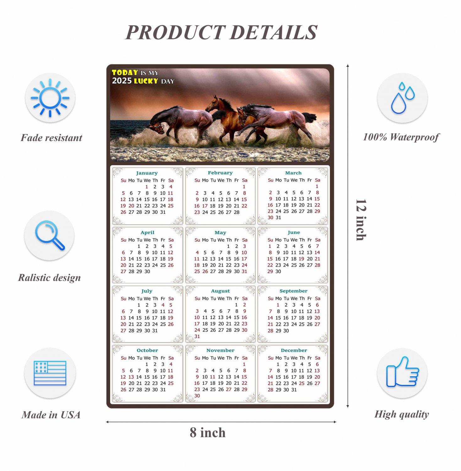 2025 Peel & Stick Calendar Today is my Lucky Day Removable Horses