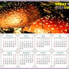2025 Magnetic Calendar - Calendar Magnets - Today is my Lucky Day - Edition #38