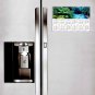 2025 Magnetic Calendar - Today is my Lucky Day - Waipoua Kauri Reserve