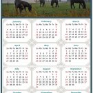 2025 Magnetic Calendar - Calendar Magnets - Today is My Lucky Day - Horses Themed 04 (5.25 x 8)