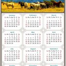 2025 Magnetic Calendar - Calendar Magnets - Today is My Lucky Day - Horses Themed 012 (5.25 x 8)