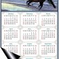 2025 Magnetic Calendar - Calendar Magnets - Today is My Lucky Day - Horses Themed 015 (5.25 x 8)