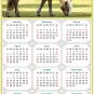 2025 Magnetic Calendar - Calendar Magnets - Today is My Lucky Day - Horses Themed 016 (7 x 10.5)