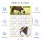 2025 Magnetic Calendar - Calendar Magnets - Today is My Lucky Day - Horses Themed 016 (7 x 10.5)