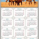 2025 Magnetic Calendar - Calendar Magnets - Today is My Lucky Day - Horses Themed 017 (5.25 x 8)