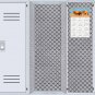 2025 Magnetic Calendar - Calendar Magnets - Today is My Lucky Day - Horses Themed 017 (5.25 x 8)