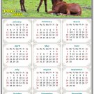 2025 Magnetic Calendar - Calendar Magnets - Today is My Lucky Day - Horses Themed 019 (7 x 10.5) 2025 Magnetic Calendar - Calendar Magnets - Today is My Lucky Day - Horses Themed 019 (7 x 10.5)