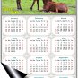 2025 Magnetic Calendar - Calendar Magnets - Today is My Lucky Day - Horses Themed 019 (5.25 x 8)