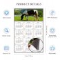 2025 Magnetic Calendar - Calendar Magnets - Today is My Lucky Day - Horses Themed 020 (7 x 10.5)