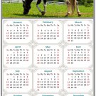 2025 Magnetic Calendar - Calendar Magnets - Today is My Lucky Day - Horses Themed 020 (5.25 x 8)