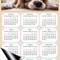 2025 Magnetic Calendar - Calendar Magnets - Today is My Lucky Day - Dogs Themed 01 (7 x 10.5)