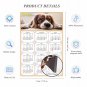 2025 Magnetic Calendar - Calendar Magnets - Today is My Lucky Day - Dogs Themed 01 (7 x 10.5)