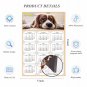 2025 Magnetic Calendar - Calendar Magnets - Today is My Lucky Day - Dogs Themed 01 (8 x 5.25)