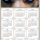 2025 Magnetic Calendar - Calendar Magnets - Today is My Lucky Day - Dogs Themed 03 (7 x 10.5) 2025 Magnetic Calendar - Calendar Magnets - Today is My Lucky Day - Dogs Themed 03 (7 x 10.5)