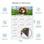 2025 Magnetic Calendar - Calendar Magnets - Today is My Lucky Day - Dogs Themed 06 (5.25 x 8)