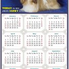 2025 Magnetic Calendar - Calendar Magnets - Today is My Lucky Day - Dogs Themed 07 (7 x 10.5)