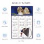 2025 Magnetic Calendar - Calendar Magnets - Today is My Lucky Day - Dogs Themed 07 (7 x 10.5)