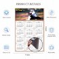 2025 Magnetic Calendar - Calendar Magnets - Today is My Lucky Day - Dogs Themed 09 (8 x 5.25)